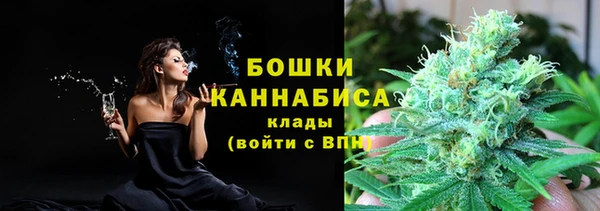 PSILOCYBIN Верея