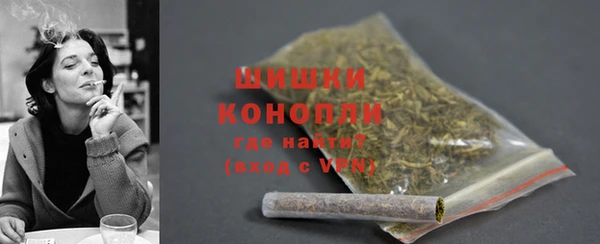 PSILOCYBIN Верея