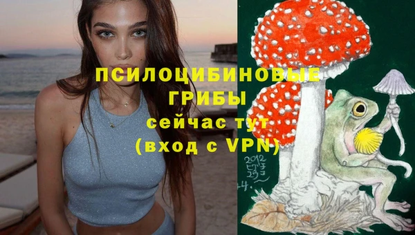 PSILOCYBIN Верея