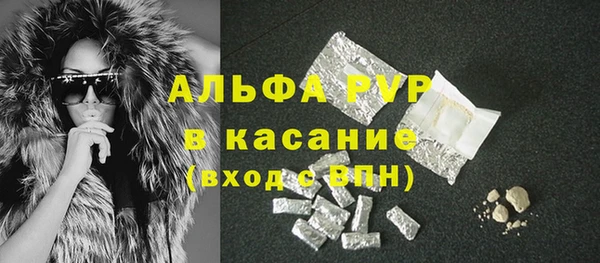 PSILOCYBIN Верея