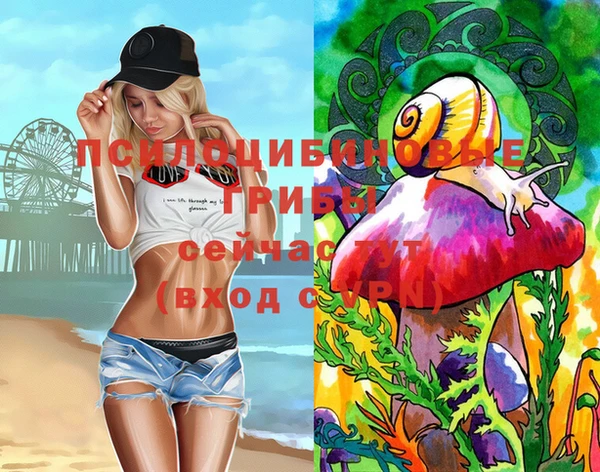 PSILOCYBIN Верея