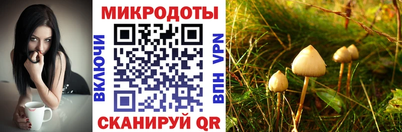как найти закладки  кракен   Псилоцибиновые грибы Cubensis  Волжский 